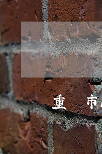 重慶市政府采購(gòu)