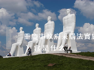 重慶市政府采購法實施細則主要內(nèi)容是什么