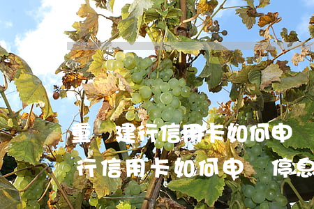 重慶建行信用卡如何申請停息掛賬-重慶建行信用卡如何申請停息掛賬業(yè)務