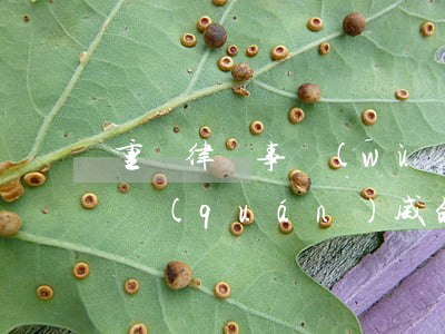 重慶律師事務(wù)所地址在哪里(重慶最權(quán)威的律師事務(wù)所)