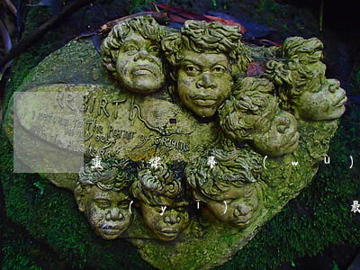 重慶律師事務(wù)所醫(yī)療(重慶醫(yī)療糾紛最專業(yè)的律師)