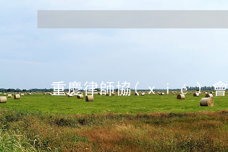 重慶律師協(xié)會(huì)