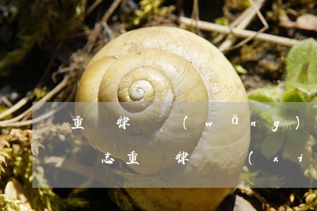 重慶律師網(wǎng)官網(wǎng)陳志(重慶律師協(xié)會)