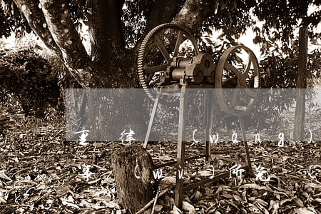 重慶律師網(wǎng)招聘信息(重慶律師事務(wù)所免費(fèi)咨詢電話號(hào))