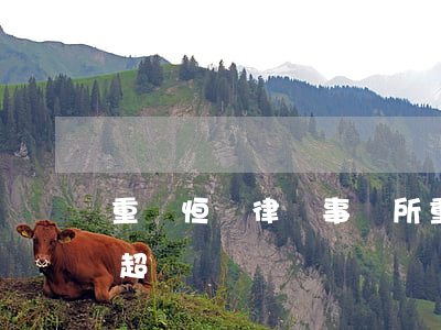 重慶恒慶律師事務所(重慶恒慶律師事務所 趙超)