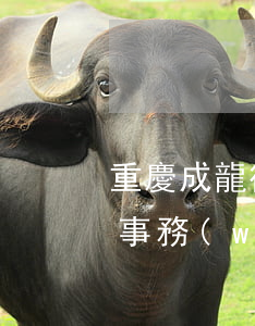 重慶成龍律師事務(wù)所(重慶成龍律師事務(wù)所人員名單)