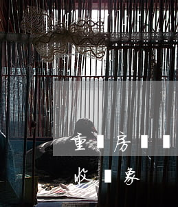 重慶房產稅征收規(guī)定（房產稅的征收對象）