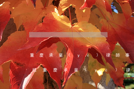 重慶承業(yè)律師事務(wù)所怎么樣(重慶承業(yè)律師事務(wù)所怎么樣)