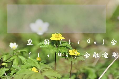 重慶招聯(lián)金融逾期一個月(招聯(lián)金融逾期1500三個月了會有什么后果?)