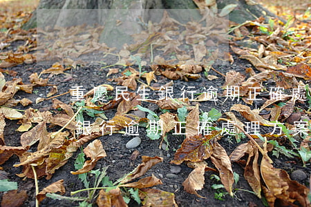 重慶民生銀行逾期正確處理方案-重慶民生銀行逾期正確處理方案是什么