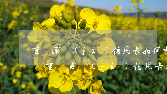 重慶浦發(fā)信用卡如何申請停息掛賬-重慶浦發(fā)信用卡如何申請停息掛賬業(yè)務(wù)