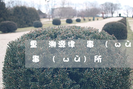 重慶溯源律師事務(wù)所(重慶新源律師事務(wù)所)