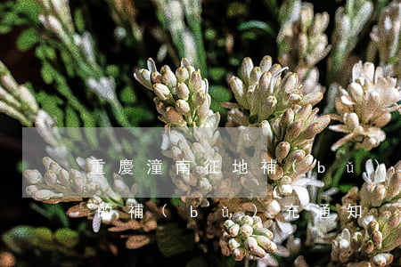 重慶潼南征地補(bǔ)償價(jià)格的補(bǔ)充通知