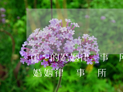 重慶的婚姻律師事務所(重慶專業(yè)的婚姻律師事務所)