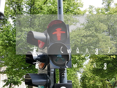 重慶網(wǎng)絡(luò)借貸公司（重慶網(wǎng)貸平臺(tái)有哪些）