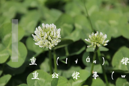 重慶聯(lián)眾律師事務(wù)所(重慶公鳴律師事務(wù)所)