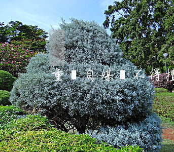 重慶：自媒體不得擅自發布氣象災害預警信號