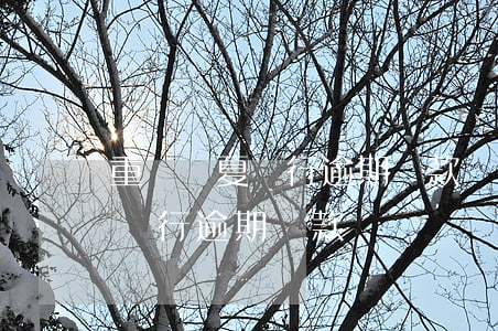 重慶華夏銀行逾期還款協(xié)商(華夏銀行逾期貸款)