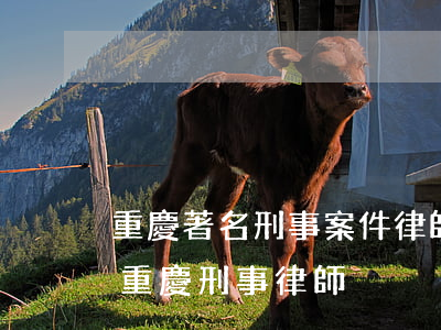 重慶著名刑事案件律師事務(wù)所(資深重慶刑事律師)