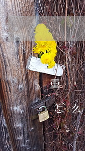 重慶買商鋪還不起貸款(商鋪貸款還不上銀行怎么收回)