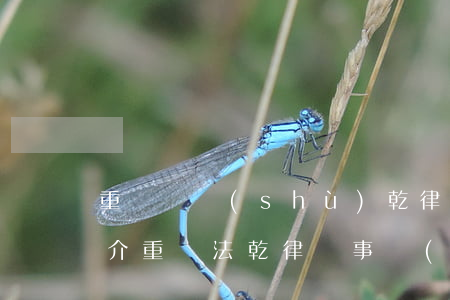 重慶趙樹(shù)乾律師簡(jiǎn)介(重慶法乾律師事務(wù)所)