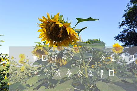 重慶都市700公益律師有哪些(重慶電視臺凡人有事公益律師)