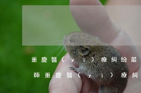 重慶醫(yī)療糾紛最專業(yè)的律師(重慶醫(yī)療糾紛最專業(yè)的律師)