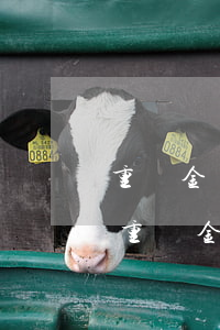 重慶金倉(cāng)律師事務(wù)所(重慶金牧錦揚(yáng)律師事務(wù)所)
