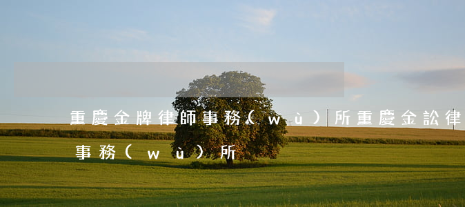 重慶金牌律師事務(wù)所(重慶金訟律師事務(wù)所)