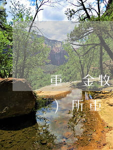 重慶金牧錦揚(yáng)律師事務(wù)所(重慶金牧錦揚(yáng)律師事務(wù)所電話(huà))