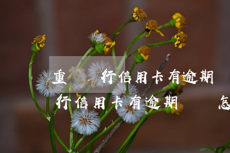 重慶銀行信用卡有逾期記錄怎么辦-重慶銀行信用卡有逾期記錄怎么辦理