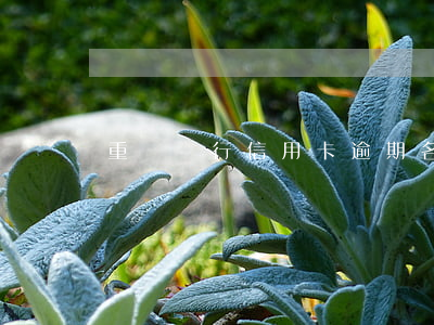 重慶銀行信用卡逾期名單(信用卡逾期重組)