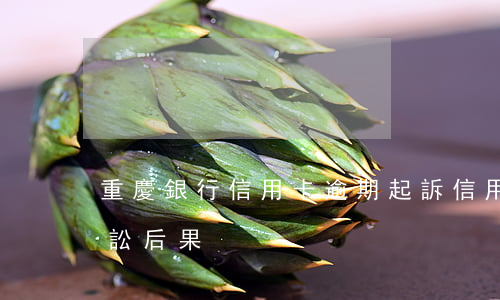 重慶銀行信用卡逾期起訴(信用卡逾期民事訴訟后果)