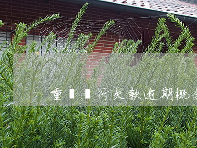 重慶銀行欠款逾期概念(重慶銀行上征信嗎)