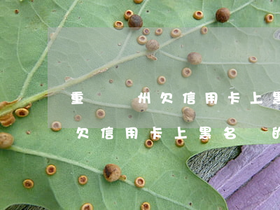 重慶開州欠信用卡上黑名單的人-重慶開州欠信用卡上黑名單的人有哪些