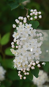重慶離婚女方財(cái)產(chǎn)有哪些(重慶離婚財(cái)產(chǎn)分配律師)