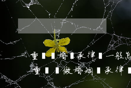 重慶離婚繼承律師一般怎么收費(fèi)(重慶專做婚姻繼承律師)