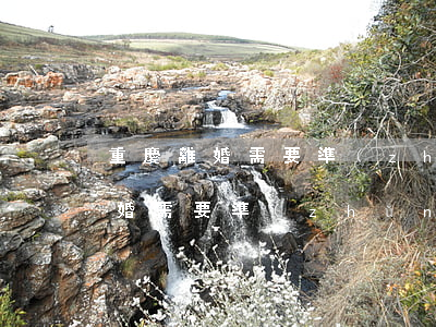 重慶離婚需要準(zhǔn)備什么資料(離婚需要準(zhǔn)備哪些資料)