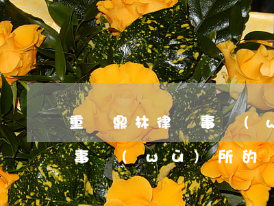 重慶鼎林律師事務(wù)所(重慶鼎凌律師事務(wù)所的電話號(hào)碼)