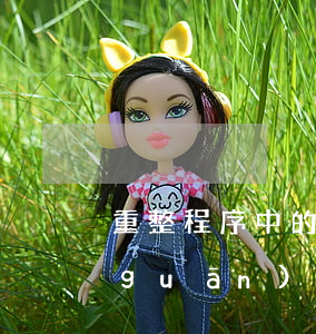 重整程序中的保護(hù)與限制的相關(guān)要點(diǎn)有哪些