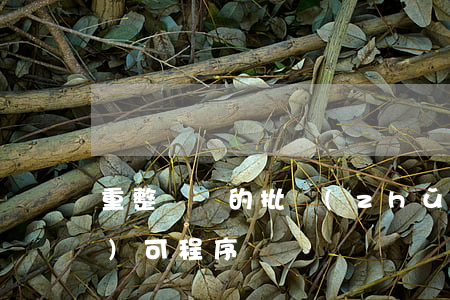 重整計劃的批準(zhǔn)和認(rèn)可程序