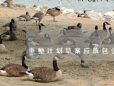 重整计划草案应该包含哪些内容