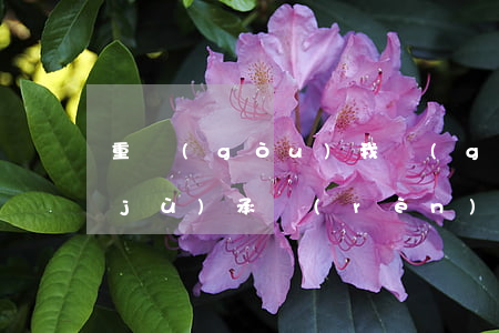 重構(gòu)我國(guó)仲裁證據(jù)承認(rèn)和執(zhí)行