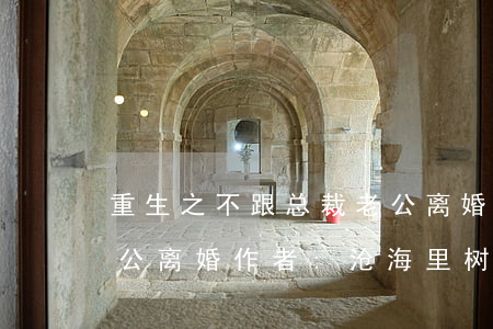 重生之不跟总裁老公离婚(重生之不跟总裁老公离婚 作者:沧海里树)