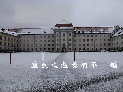 重生之老婆咱不離婚