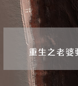重生之老婆要離婚