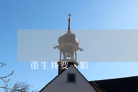 重生我要離婚