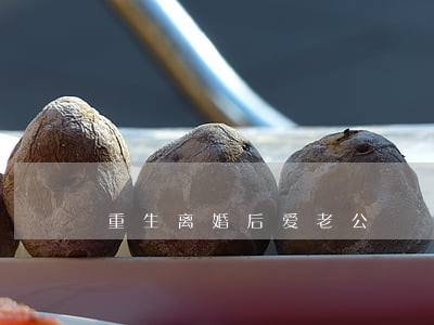 重生离婚后爱老公