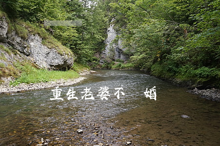 重生老婆不離婚