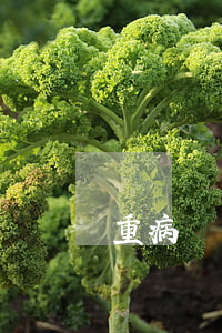 重病還不起貸款-得重病還不起貸款怎么辦